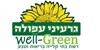 גרעיני עפולה
